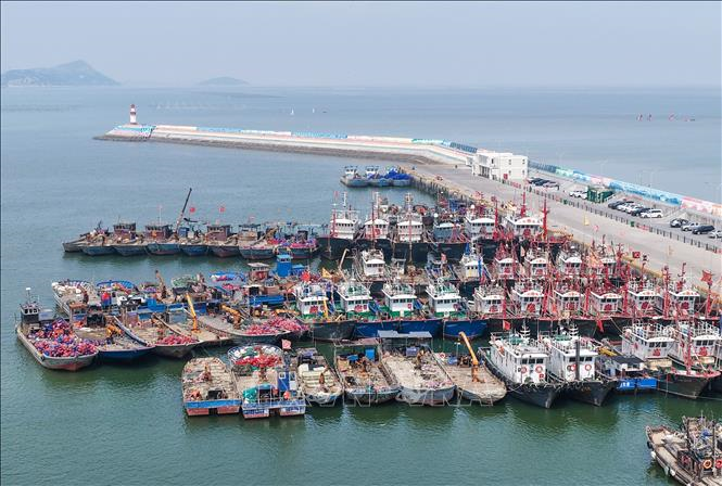 Trung Quốc căng mình phòng, chống bão Bavi